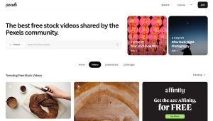 pexel for free stock vidoes