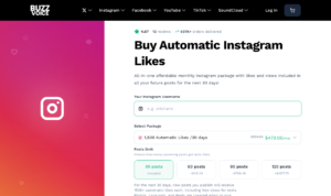 buzzvoice auto instagram likes