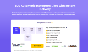 viralyft auto Instagram likes