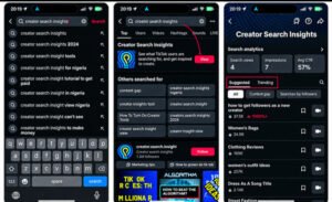 TikTok Search and Creator Search Insights to find demand