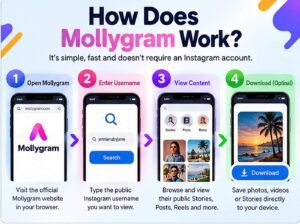 how-mollygram-works