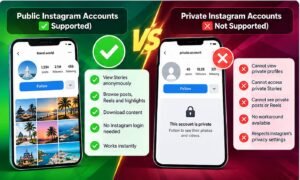 public vs private