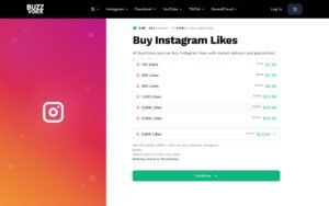 BuzzVoice Review - bv-checkout-flow