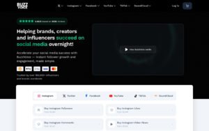 BuzzVoice Review - bv-home