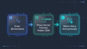 Infographic diagram explaining how an anonymous Instagram Story viewer uses proxy servers to fetch public Stories from Instagram's CDN without logging a user view.